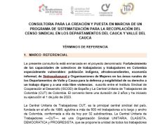 Consultoria para la creación y puesta en marcha de un programa de sistematización para la recopilación del censo sindical en los departamentos del Cauca y Valle del Cauca