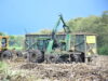 Consultoría caracterización socioeconómica, laboral y formativa de las y los trabajadores afectados por los procesos de reconversión productiva y/o mecanización en el sector de la caña de azúcar